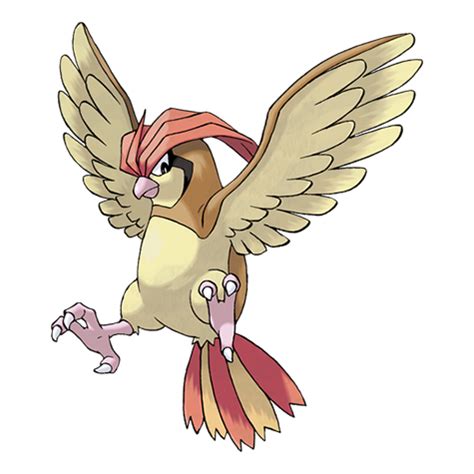pidgeot serebii|pidgeot bulbapedia.